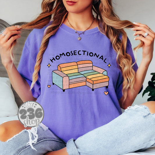 Homosectional Pride Tshirt