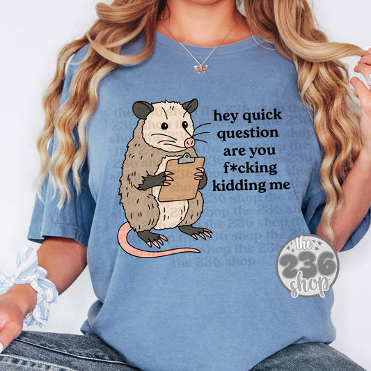 Quick Question Opossum Tshirt